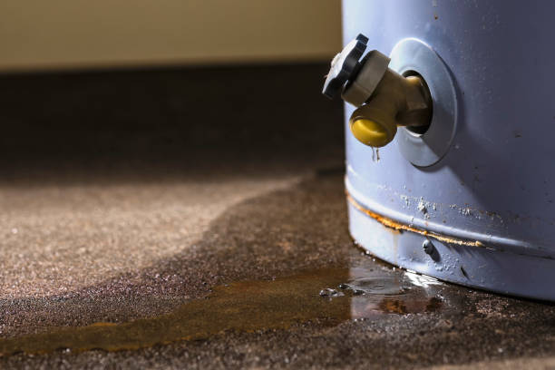 Best Flooded house restoration  in Muscle Shos, AL