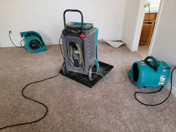 Best Fire Damage Restoration  in Muscle Shos, AL