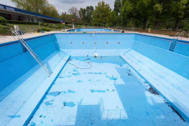 Best Professional water damage repair  in Muscle Shos, AL