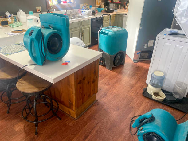 Best Water damage restoration services  in Muscle Shos, AL