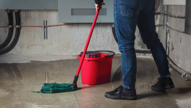 Best Commercial water damage restoration  in Muscle Shos, AL