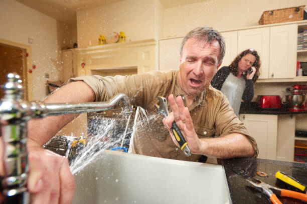 Best Local water damage restoration  in Muscle Shos, AL